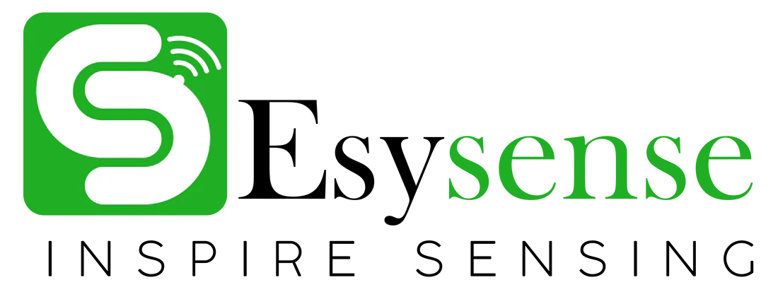 ESYSENSE